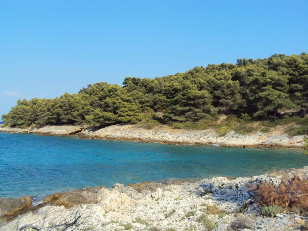 Apartment Zalo Donje Selo na Šolti Εξωτερικό φωτογραφία