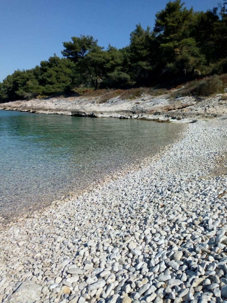 Apartment Zalo Donje Selo na Šolti Εξωτερικό φωτογραφία